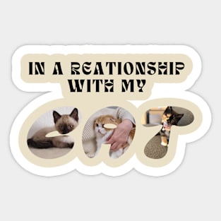 in a relationship with my cat Sticker